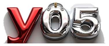y05